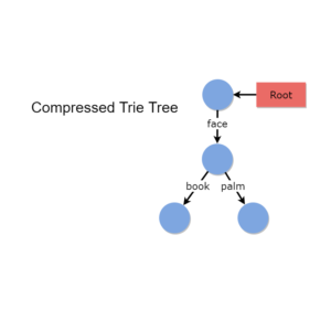Compressed Trie Tree